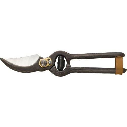 secateurs for olive tree pruning